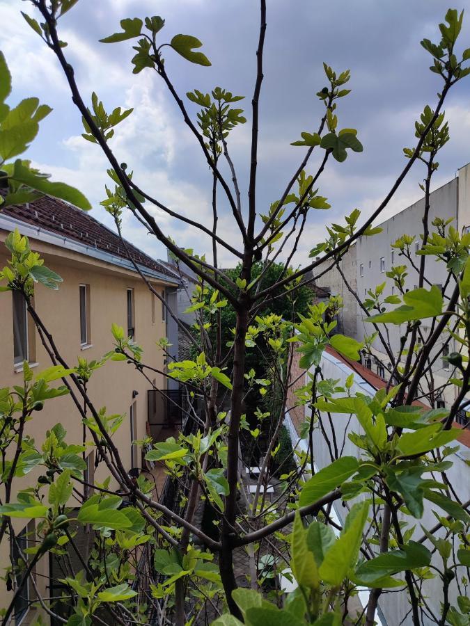 Centar Novi Sad-Apartman No 3 Exterior photo