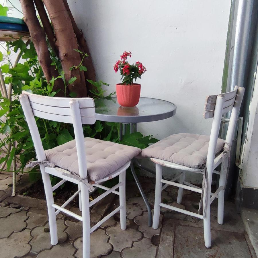Centar Novi Sad-Apartman No 3 Exterior photo